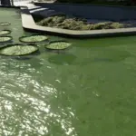 Real Water HD 2