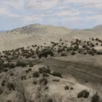 REKT Ridiculous Sand Dunes v1.1