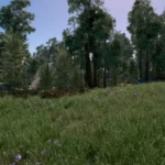 Green Grass2
