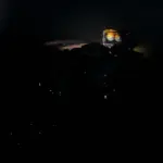 Rabbits's Real Lights Cydonia