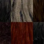 Hair Overhaul V2.0.1