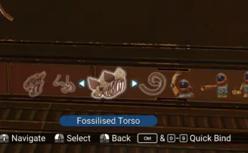 Get All Fossil
