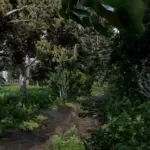 Arzamas Map Release 0.33