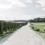 Stryckovy, CZ (Rally) V1.0