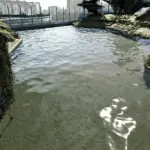 Immersive Water Visuals V1.0