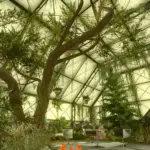 The Lodge Cozymaxxed - A Lightweight The Lodge Overhaul V1.0