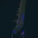 Blades of the Immaterium