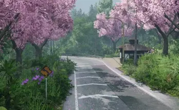 Sadamine Pass v1.0