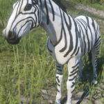 A-Zebra