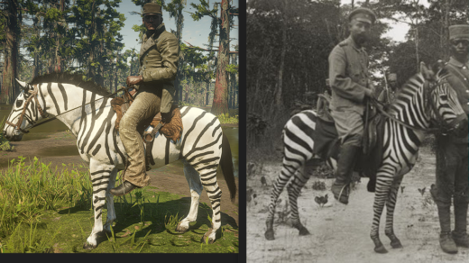 A-Zebra2