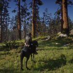 Absolute-Correction-for-RDR23