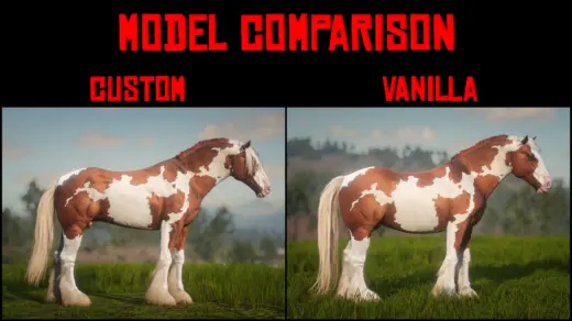 Accurate Gypsy Cob