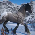 Accurate Gypsy Cob2