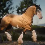 Accurate Gypsy Cob3