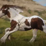 Accurate Gypsy Cob4