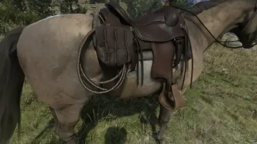 Add-Lasso-to-Horse-1024x809-1
