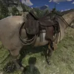 Add-Lasso-to-Horse