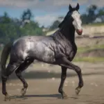 Akhal-Teke-Horse-Breed