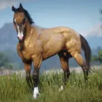 Akhal-Teke-Horse-Breed2