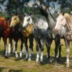Akhal-Teke-Horse-Breed4