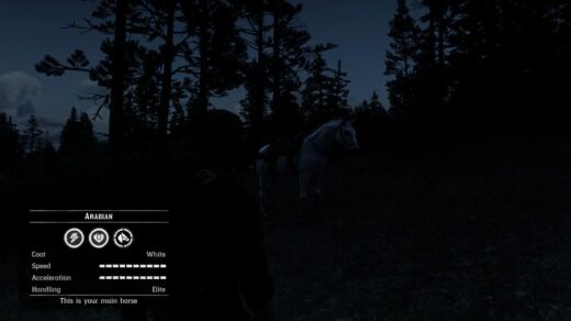 All-horses-are-perfect-1024x576-1