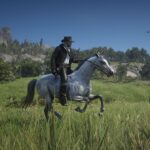 Alternative-arabian-horse3