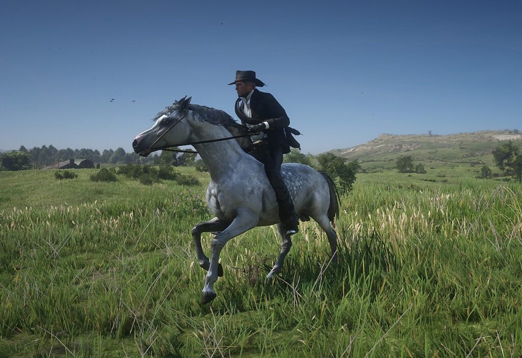 Alternative arabian horse