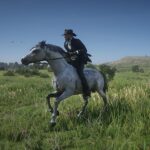 Alternative-arabian-horse4