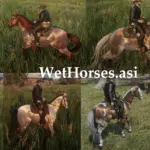Always-a-wet-horse