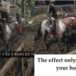 Always-a-wet-horse2