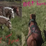 Always-a-wet-horse3