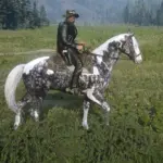 Always-a-wet-horse4