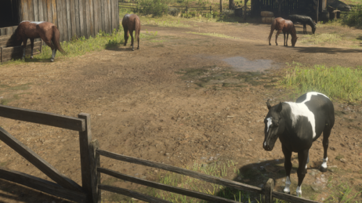 Ambient-Horses-1024x348-1