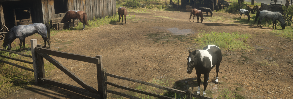 Ambient Horses