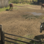 Ambient-Horses