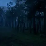 Ambient-Wilderness-Overhaul3