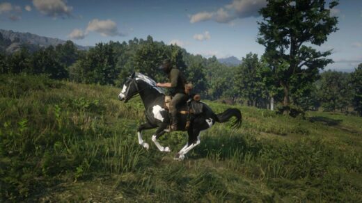 American-Paint-Horse-1024x576-1