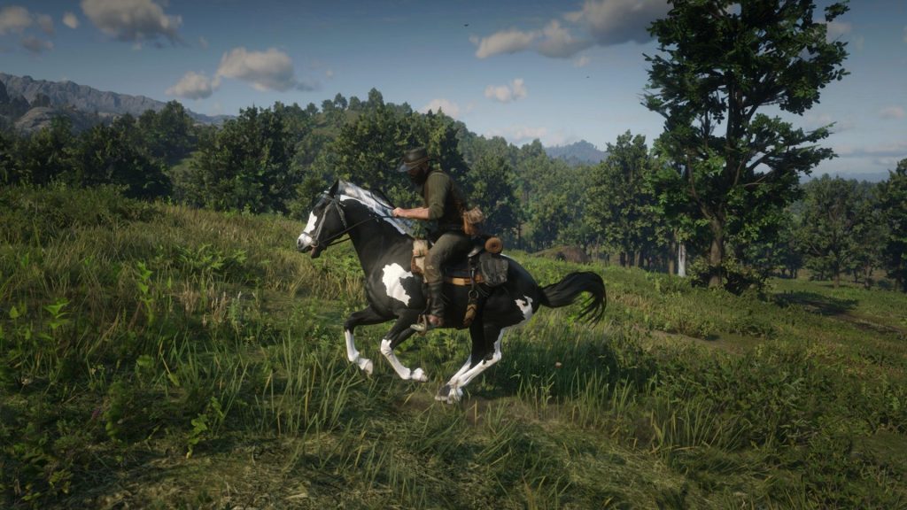 American Paint Horse