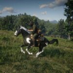 American-Paint-Horse