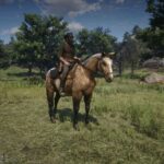 American-Quarter-Horse2