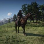 American-Quarter-Horse3