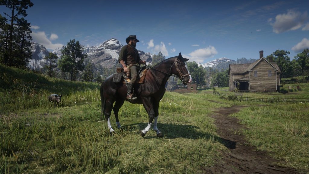 American Quarter Horse