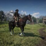 American-Quarter-Horse4