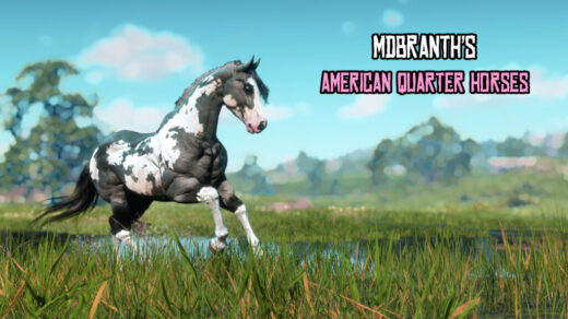 American-Quarter-Horses-1024x576-1