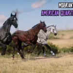 American-Quarter-Horses-scaled-1