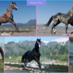 American-Quarter-Horses2-scaled-1
