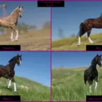 American-Quarter-Horses2-scaled-1