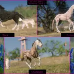 American-Quarter-Horses3-scaled-1