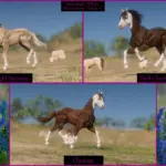 American-Quarter-Horses4-scaled-1