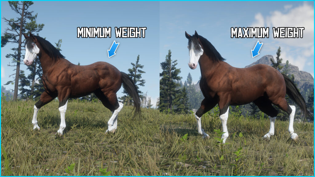 American Quarter Horses